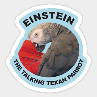 Logo of Einstein the Talking Texan Parrot Sticker
